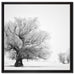 Bäume im Schnee Nebel auf Leinwandbild Quadratisch gerahmt Größe 60x60