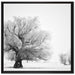 Bäume im Schnee Nebel auf Leinwandbild Quadratisch gerahmt Größe 70x70