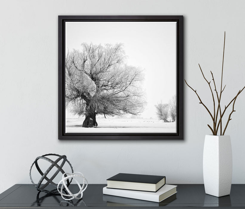 Bäume im Schnee Nebel  auf Leinwandbild Quadratisch gerahmt mit Kirschblüten