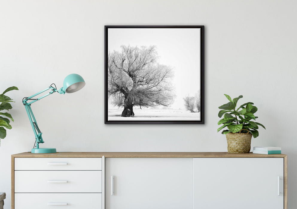 Bäume im Schnee Nebel auf Leinwandbild gerahmt Quadratisch verschiedene Größen im Wohnzimmer