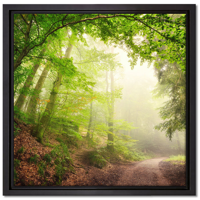 Sonnenstrahlen Waldweg auf Leinwandbild Quadratisch gerahmt Größe 40x40