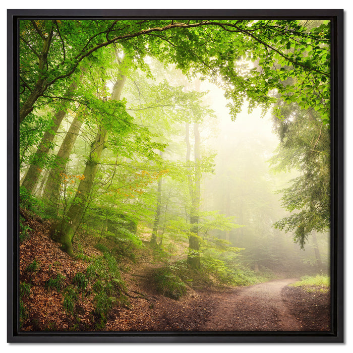 Sonnenstrahlen Waldweg auf Leinwandbild Quadratisch gerahmt Größe 60x60
