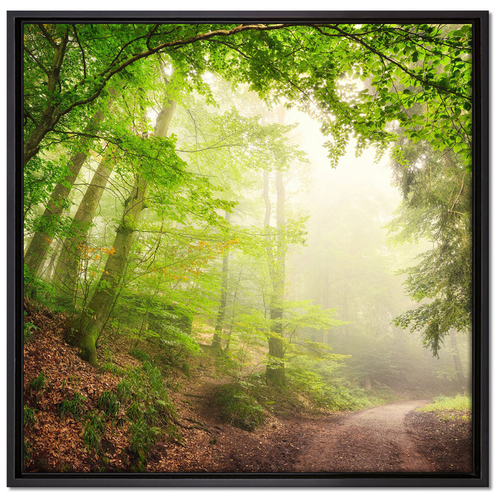 Sonnenstrahlen Waldweg auf Leinwandbild Quadratisch gerahmt Größe 70x70