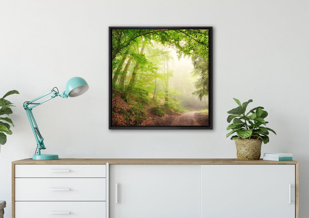 Sonnenstrahlen Waldweg auf Leinwandbild gerahmt Quadratisch verschiedene Größen im Wohnzimmer