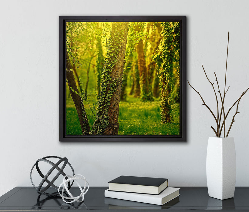 Bäume und Efeu  auf Leinwandbild Quadratisch gerahmt mit Kirschblüten