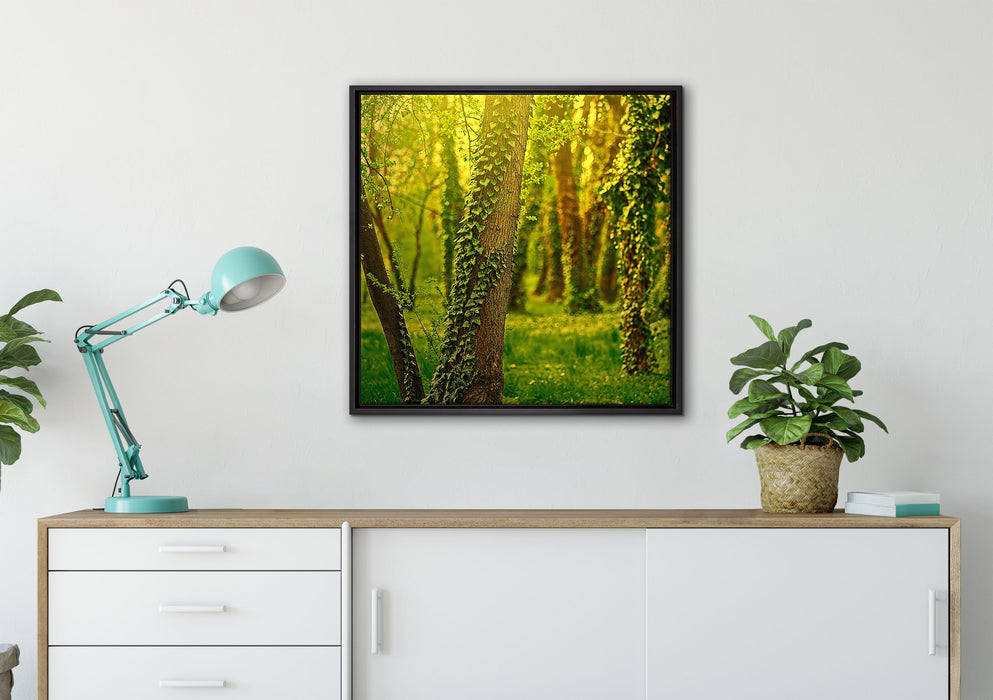 Bäume und Efeu auf Leinwandbild gerahmt Quadratisch verschiedene Größen im Wohnzimmer