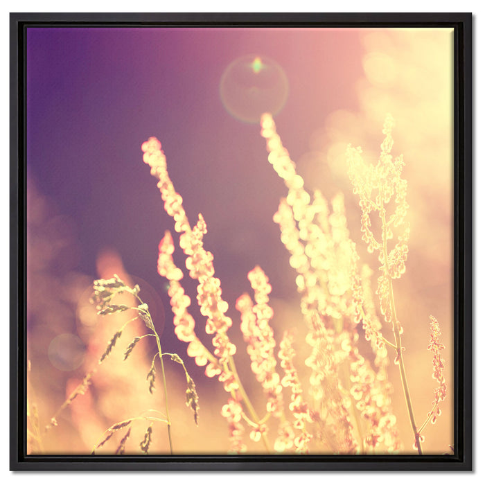 Gräser im Sonnenuntergang auf Leinwandbild Quadratisch gerahmt Größe 60x60