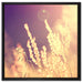 Gräser im Sonnenuntergang auf Leinwandbild Quadratisch gerahmt Größe 60x60