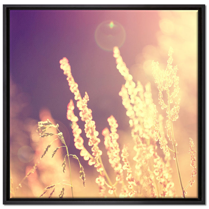 Gräser im Sonnenuntergang auf Leinwandbild Quadratisch gerahmt Größe 70x70