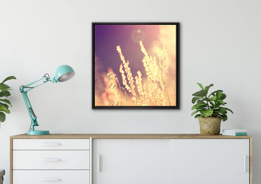 Gräser im Sonnenuntergang auf Leinwandbild gerahmt Quadratisch verschiedene Größen im Wohnzimmer