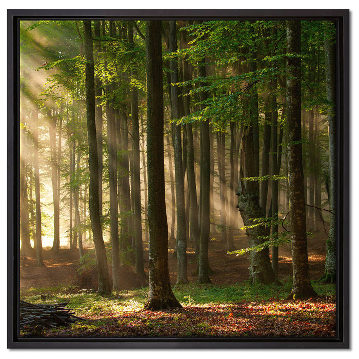 Bäume im auf Leinwandbild Quadratisch gerahmt Größe 60x60