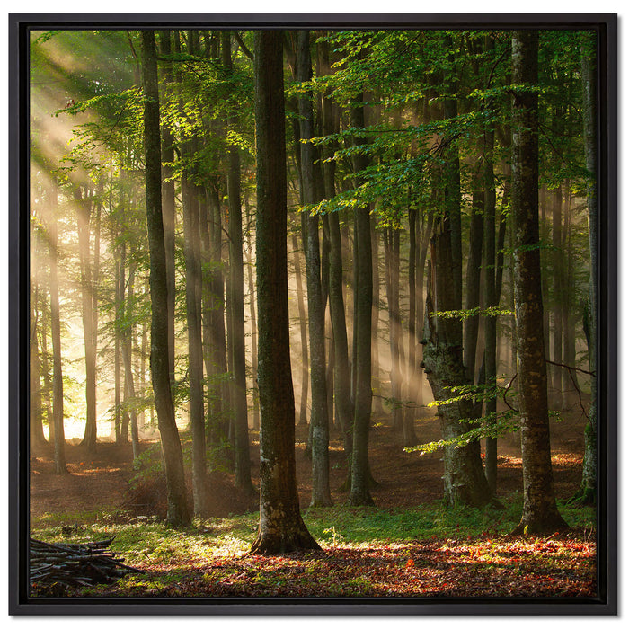 Bäume im auf Leinwandbild Quadratisch gerahmt Größe 70x70