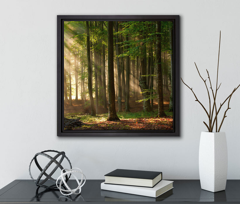 Bäume im  auf Leinwandbild Quadratisch gerahmt mit Kirschblüten