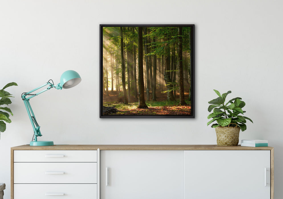 Bäume im auf Leinwandbild gerahmt Quadratisch verschiedene Größen im Wohnzimmer