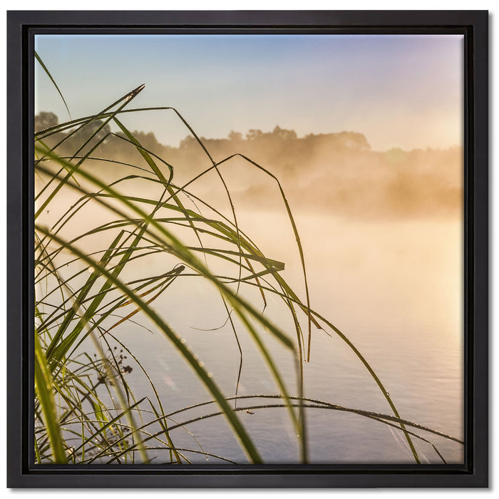 Schilf am See auf Leinwandbild Quadratisch gerahmt Größe 40x40