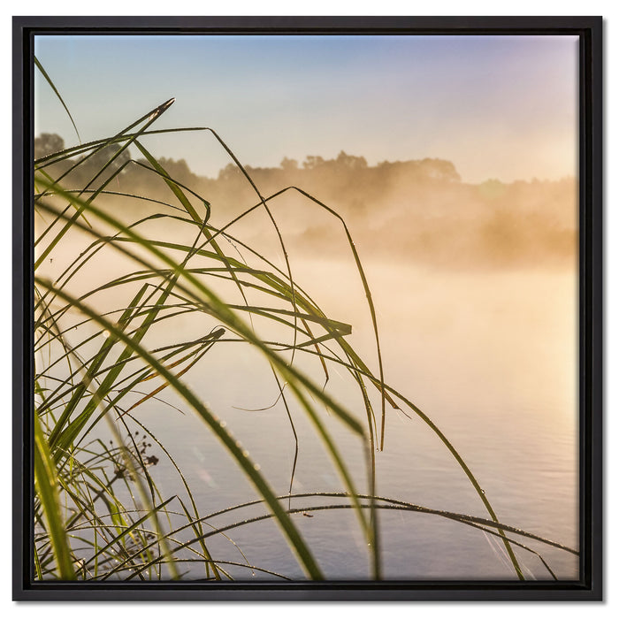 Schilf am See auf Leinwandbild Quadratisch gerahmt Größe 60x60