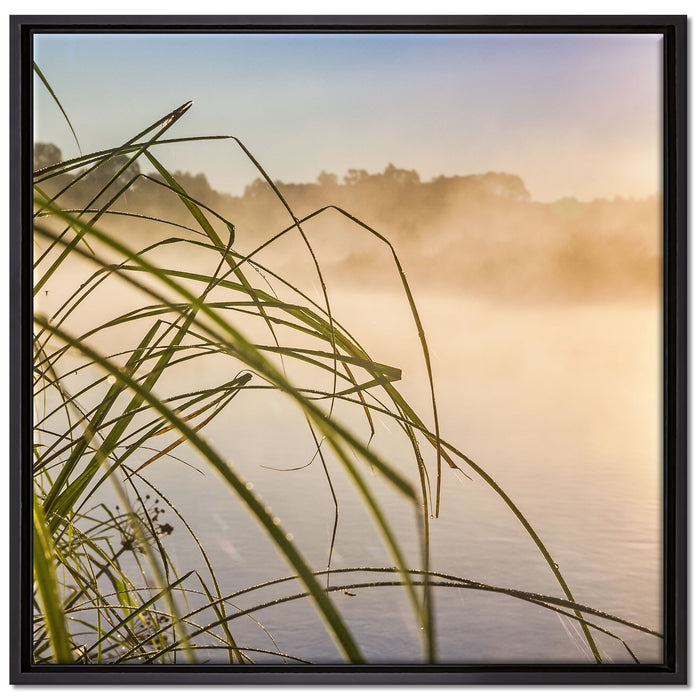 Schilf am See auf Leinwandbild Quadratisch gerahmt Größe 70x70