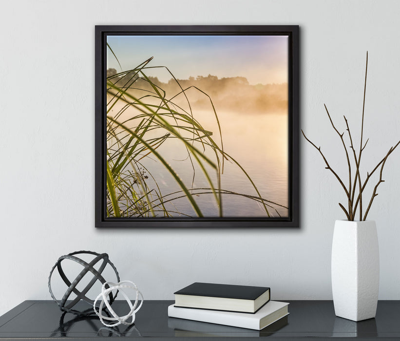 Schilf am See  auf Leinwandbild Quadratisch gerahmt mit Kirschblüten