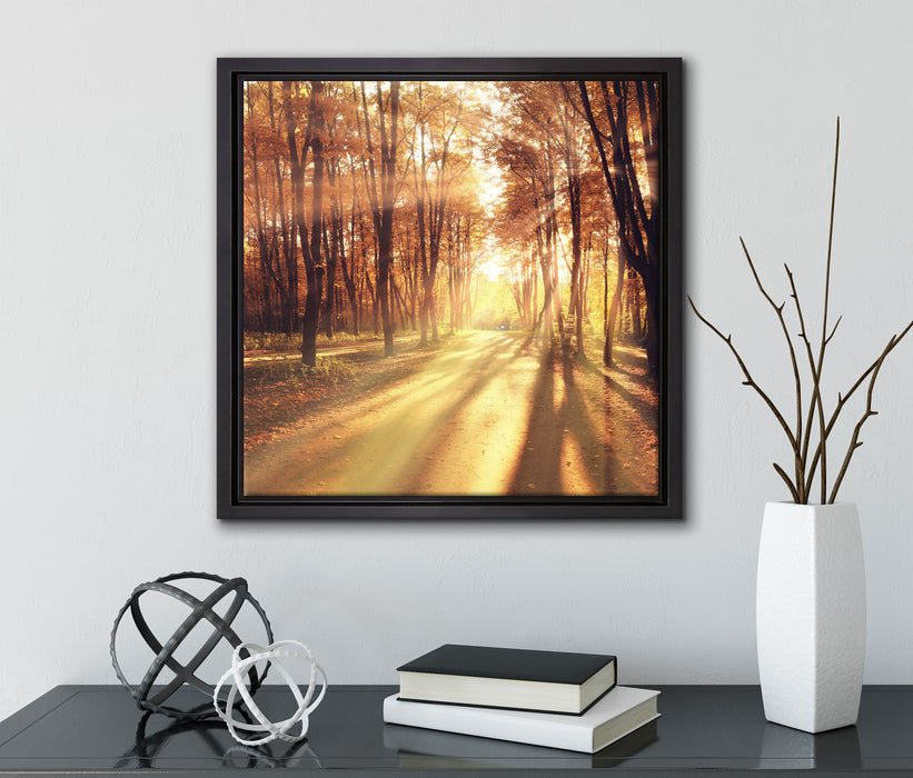 Baumallee im Herbst  auf Leinwandbild Quadratisch gerahmt mit Kirschblüten