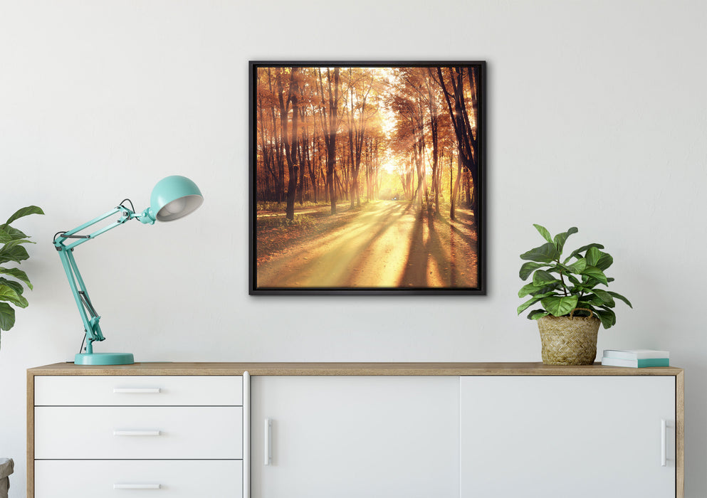 Baumallee im Herbst auf Leinwandbild gerahmt Quadratisch verschiedene Größen im Wohnzimmer