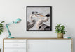 Zankende Vögel auf Leinwandbild gerahmt Quadratisch verschiedene Größen im Wohnzimmer