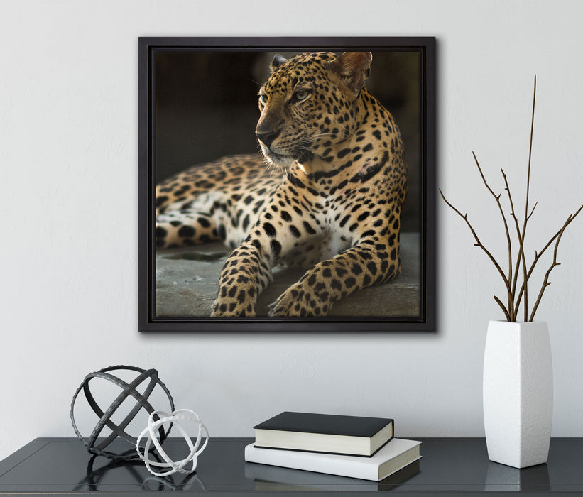 Majestätischer Leopard  auf Leinwandbild Quadratisch gerahmt mit Kirschblüten