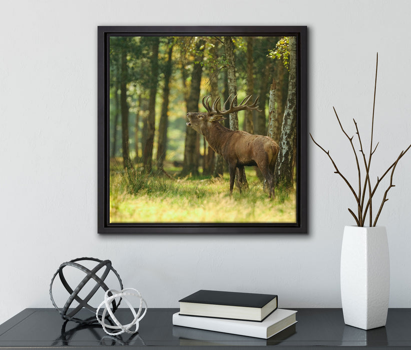 Hirsch im Wald  auf Leinwandbild Quadratisch gerahmt mit Kirschblüten