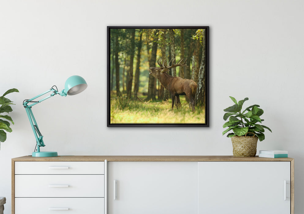 Hirsch im Wald auf Leinwandbild gerahmt Quadratisch verschiedene Größen im Wohnzimmer