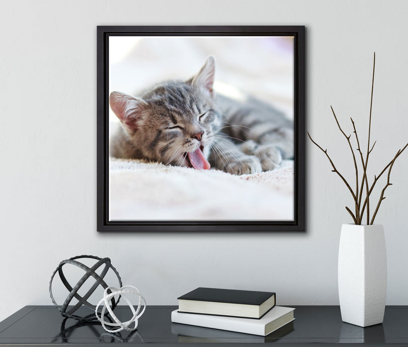 Kleines Kätzchen  auf Leinwandbild Quadratisch gerahmt mit Kirschblüten