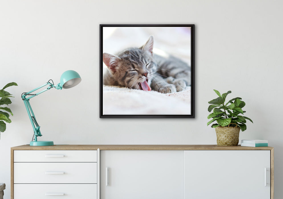 Kleines Kätzchen auf Leinwandbild gerahmt Quadratisch verschiedene Größen im Wohnzimmer