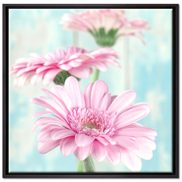 Gerberas auf Leinwandbild Quadratisch gerahmt Größe 70x70
