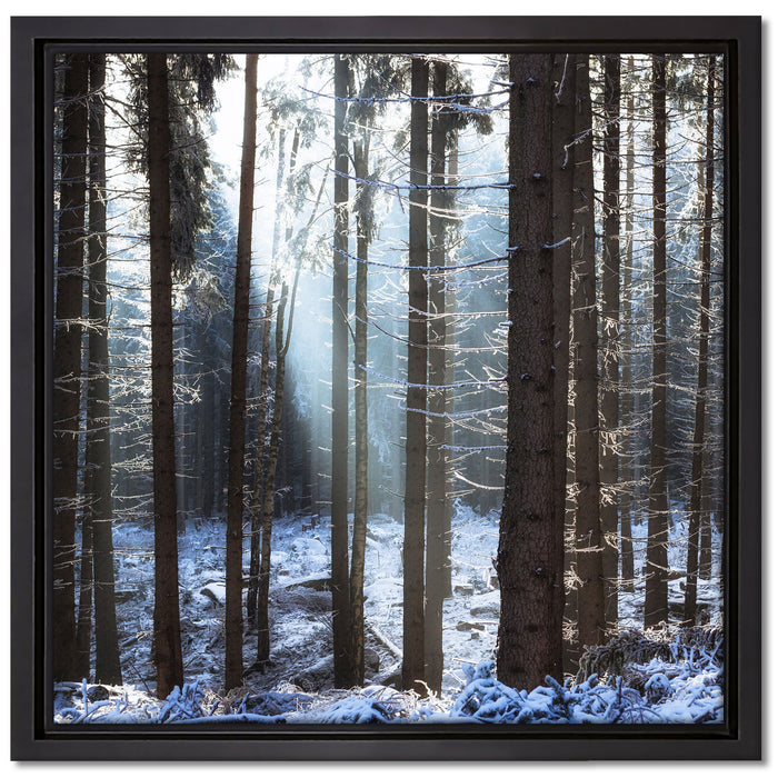 Winterwald auf Leinwandbild Quadratisch gerahmt Größe 40x40