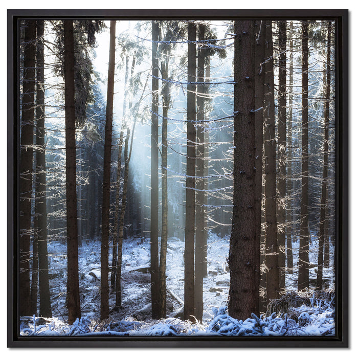 Winterwald auf Leinwandbild Quadratisch gerahmt Größe 60x60