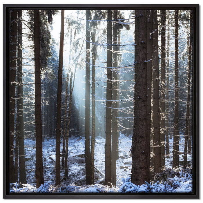 Winterwald auf Leinwandbild Quadratisch gerahmt Größe 70x70
