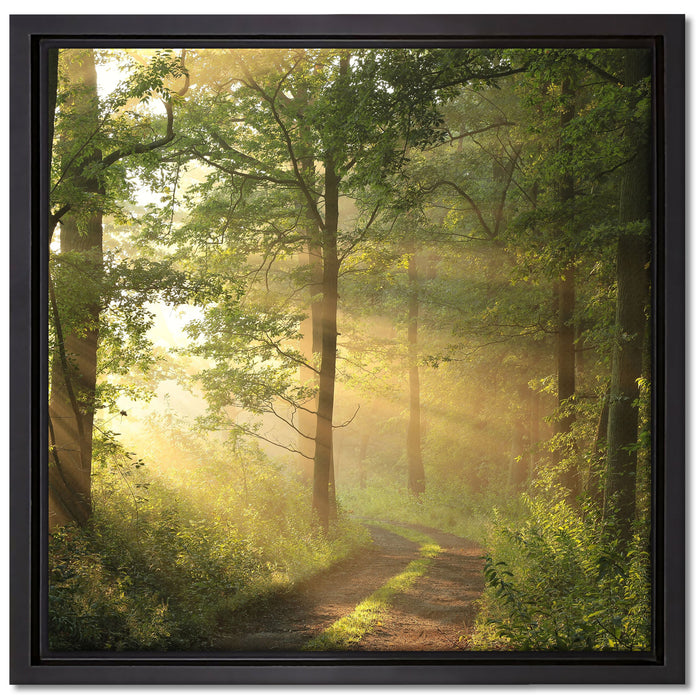 Waldweg auf Leinwandbild Quadratisch gerahmt Größe 40x40