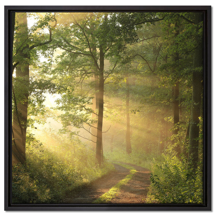 Waldweg auf Leinwandbild Quadratisch gerahmt Größe 60x60