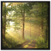 Waldweg auf Leinwandbild Quadratisch gerahmt Größe 70x70