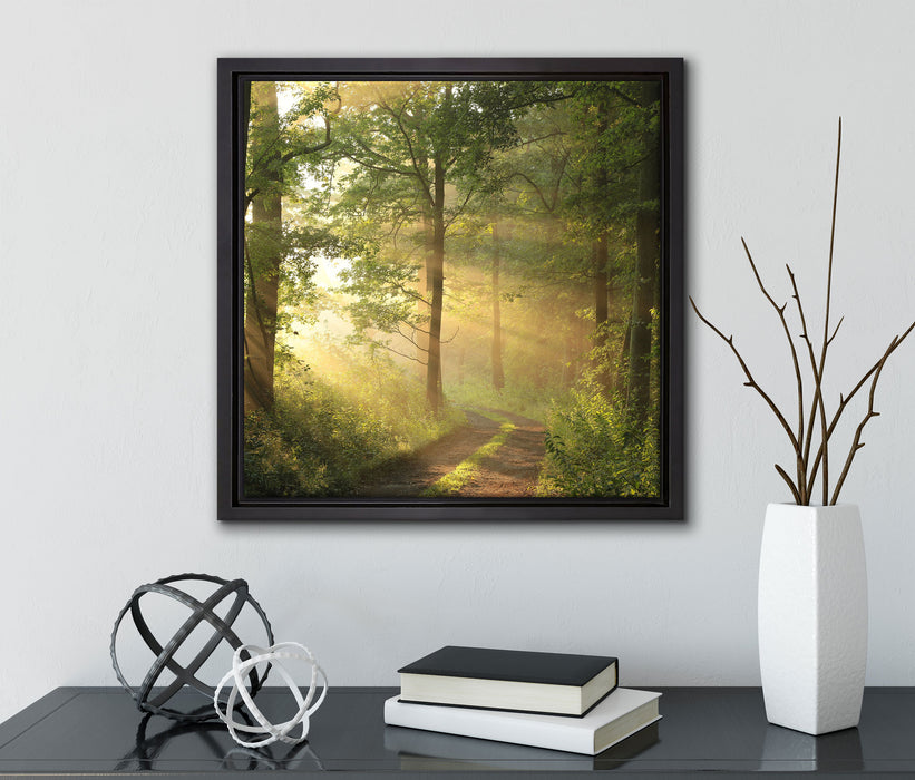 Waldweg  auf Leinwandbild Quadratisch gerahmt mit Kirschblüten