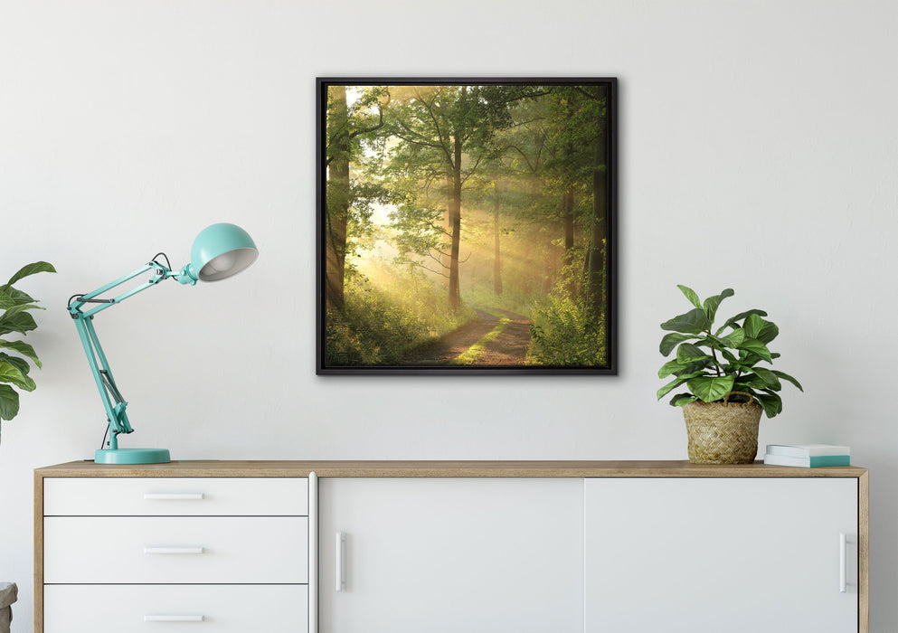 Waldweg auf Leinwandbild gerahmt Quadratisch verschiedene Größen im Wohnzimmer