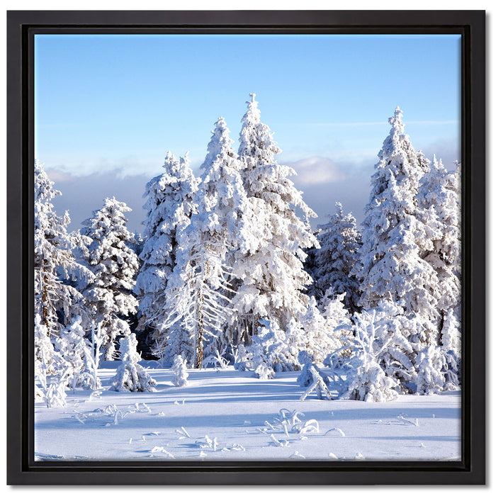 Winterwald auf Leinwandbild Quadratisch gerahmt Größe 40x40