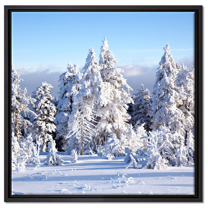 Winterwald auf Leinwandbild Quadratisch gerahmt Größe 60x60