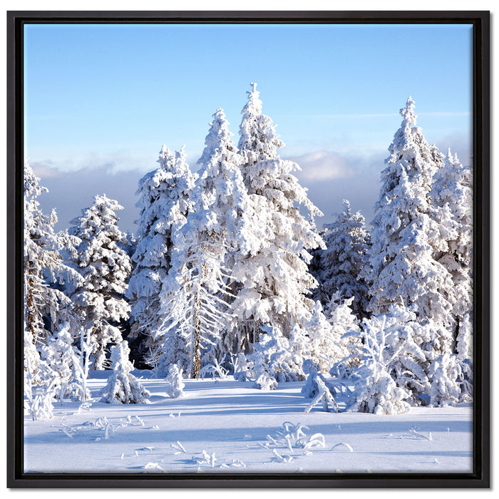Winterwald auf Leinwandbild Quadratisch gerahmt Größe 70x70