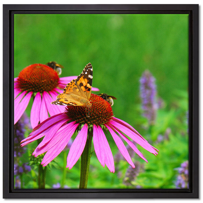 Schmetterling auf Blüte auf Leinwandbild Quadratisch gerahmt Größe 40x40