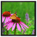 Schmetterling auf Blüte auf Leinwandbild Quadratisch gerahmt Größe 60x60