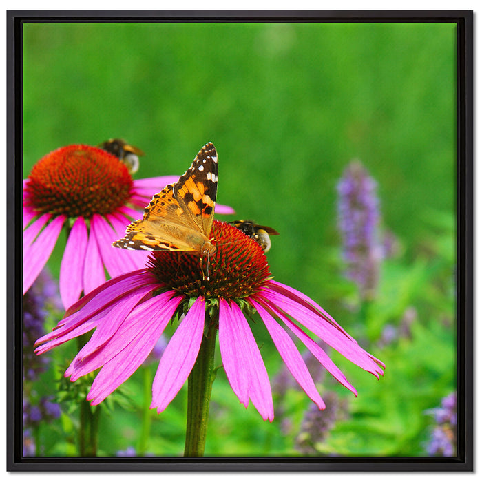 Schmetterling auf Blüte auf Leinwandbild Quadratisch gerahmt Größe 70x70