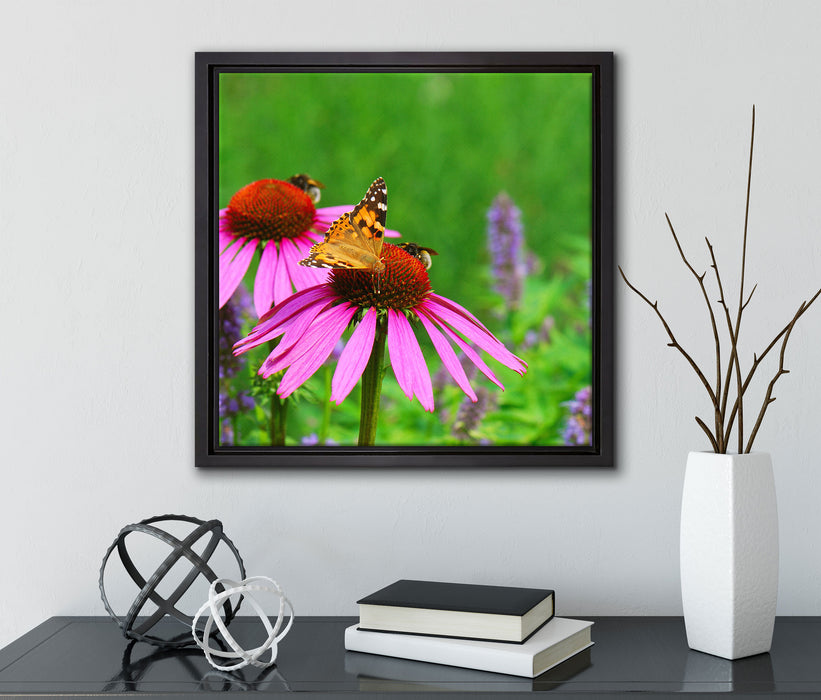 Schmetterling auf Blüte  auf Leinwandbild Quadratisch gerahmt mit Kirschblüten