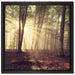 Waldlichtung im Sonnenschein auf Leinwandbild Quadratisch gerahmt Größe 40x40