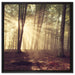 Waldlichtung im Sonnenschein auf Leinwandbild Quadratisch gerahmt Größe 60x60