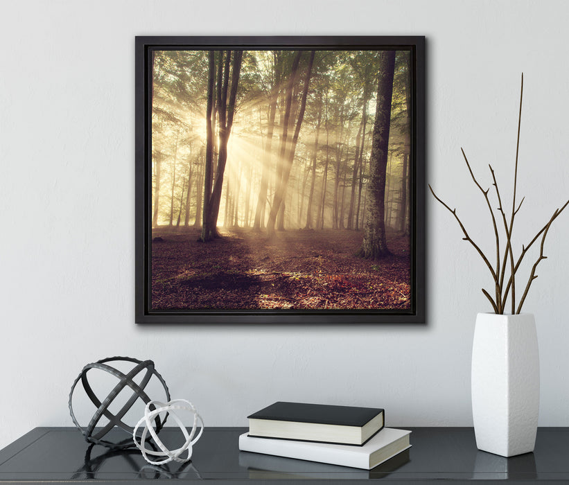 Waldlichtung im Sonnenschein  auf Leinwandbild Quadratisch gerahmt mit Kirschblüten
