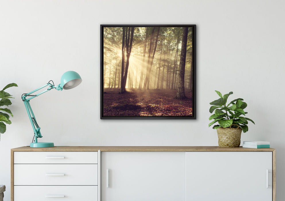 Waldlichtung im Sonnenschein auf Leinwandbild gerahmt Quadratisch verschiedene Größen im Wohnzimmer